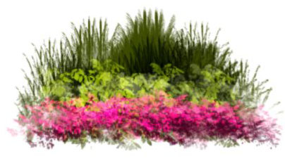 Watercolor Bushes at PaintingValley.com | Explore collection of ...