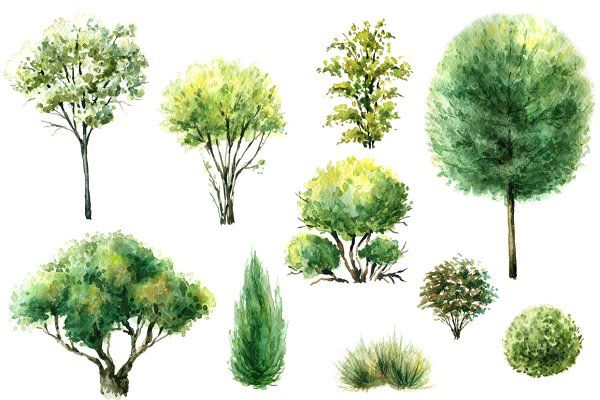 600x400 Watercolor Trees And Bushes - Watercolor Bushes