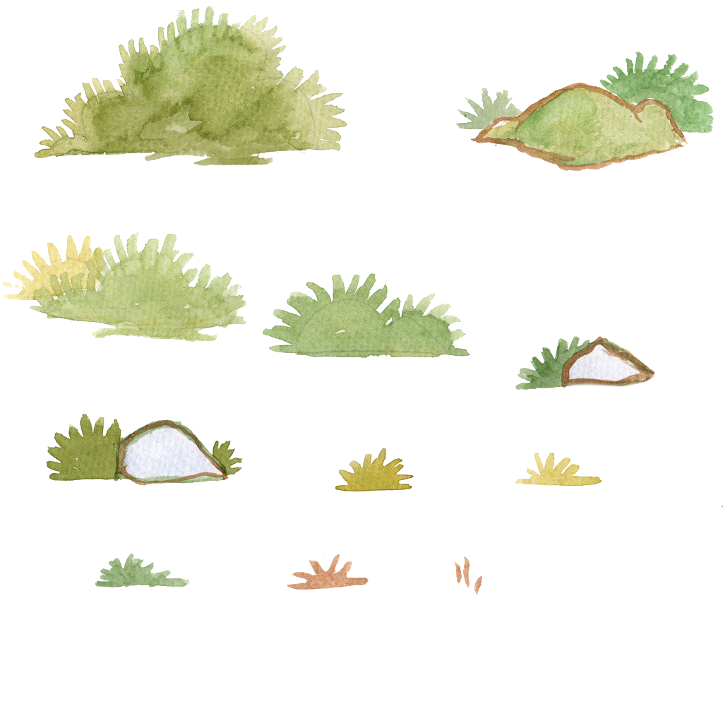 1024x1024 Watercolor Bushes - Watercolor Bushes