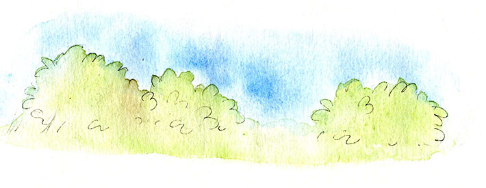 710x275 How To Effortlessly Draw And Paint Shrubs - Watercolor Bushes
