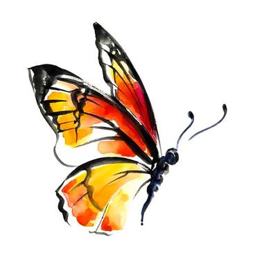 375x375 70 Elegant Tattoo Designs For Women Hair - Watercolor Butterfly