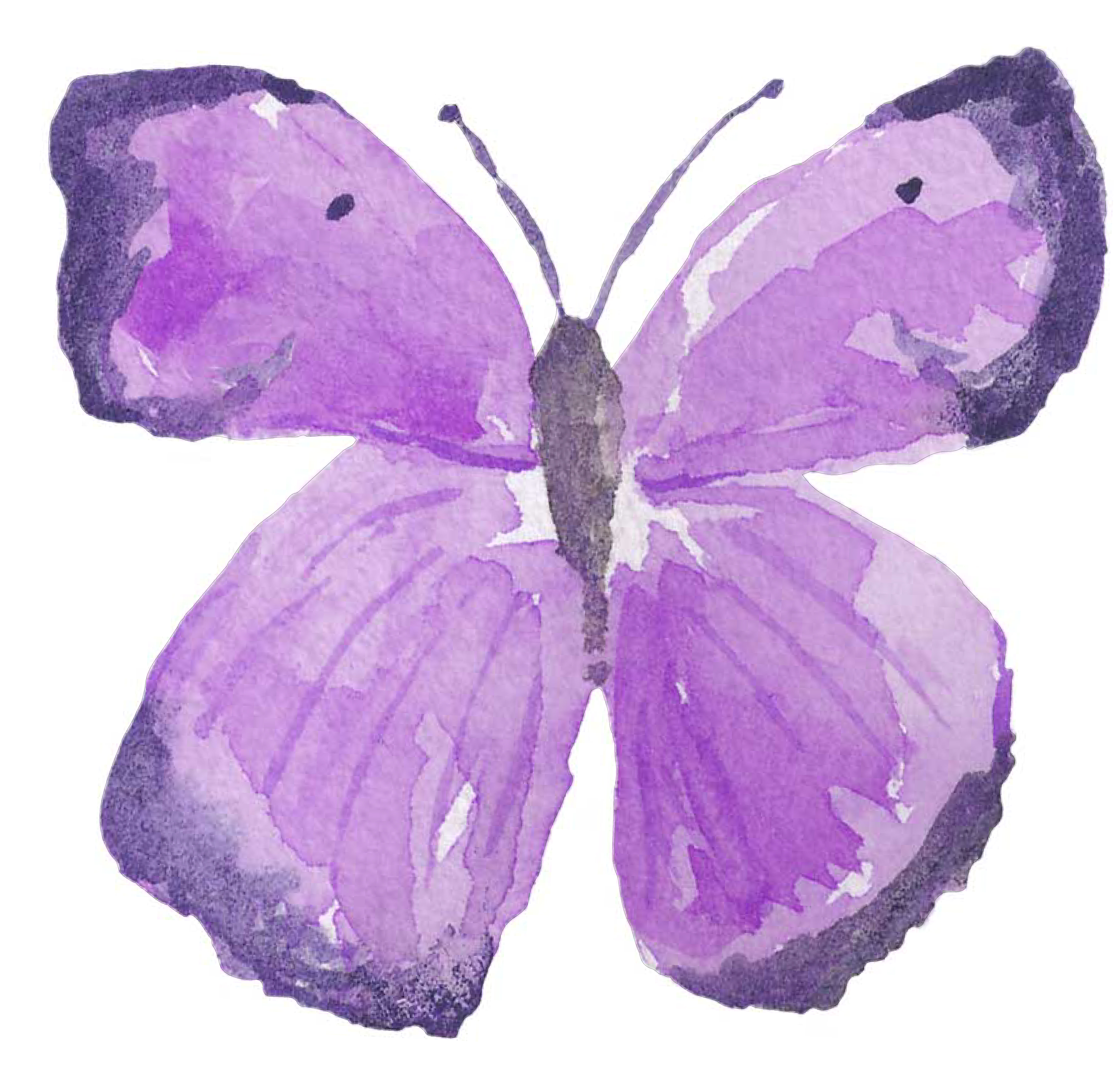 Акварельные бабочки фиолетовые