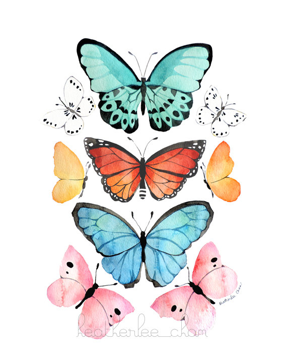 570x712 Butterfly Watercolor - Watercolor Butterfly