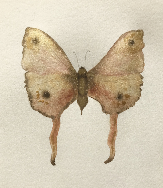 650x751 How To Paint A Watercolor Butterfly Step By Step - Watercolor Butterfly