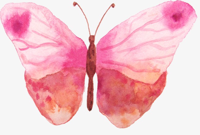 650x438 Watercolor Butterfly, Watercolor Clipart, Butterfly Clipart, Small - Watercolor Butterfly