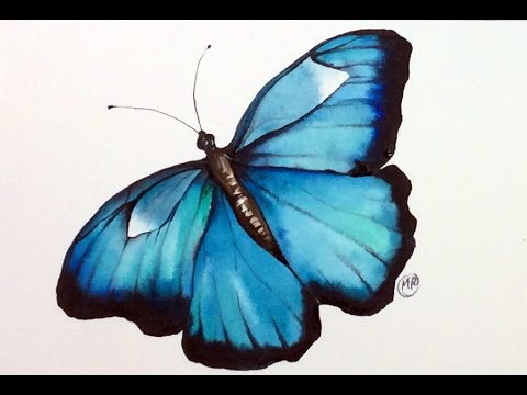 480x360 Watercolor Butterfly Real Time Painting Demonstration - Watercolor Butterfly