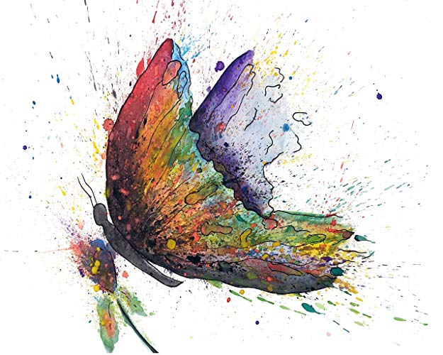 625x500 Canvas Wall Art Butterflies Butterfly Wall Art - Watercolor Butterfly