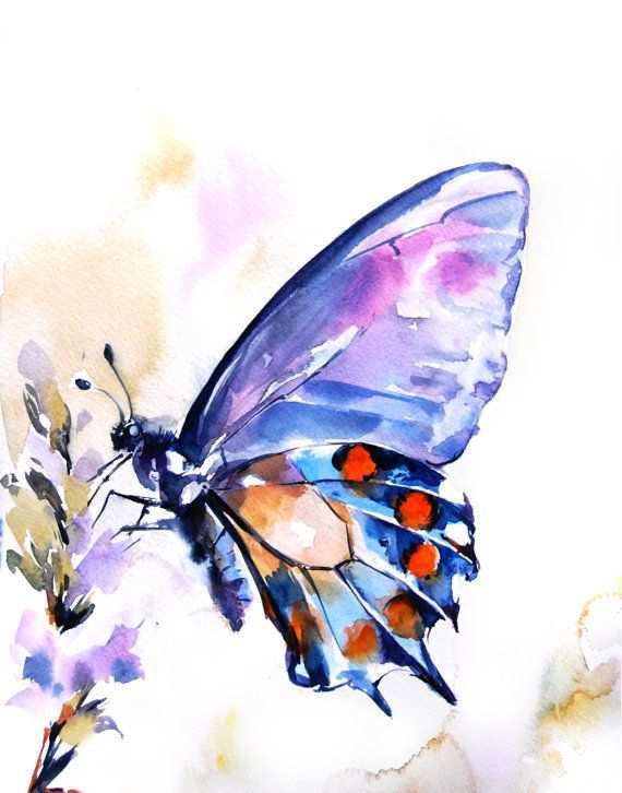 570x726 Painting Butterflies New Butterfly Watercolor Print Watercolor - Watercolor Butterfly Art