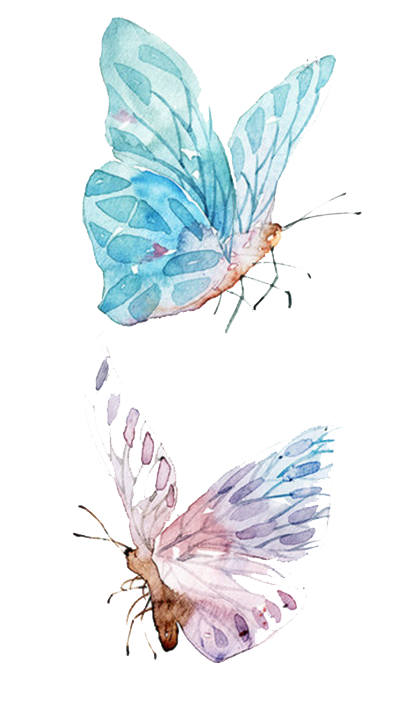 402x716 Paper Watercolor Painting Drawing - Watercolor Butterfly Art