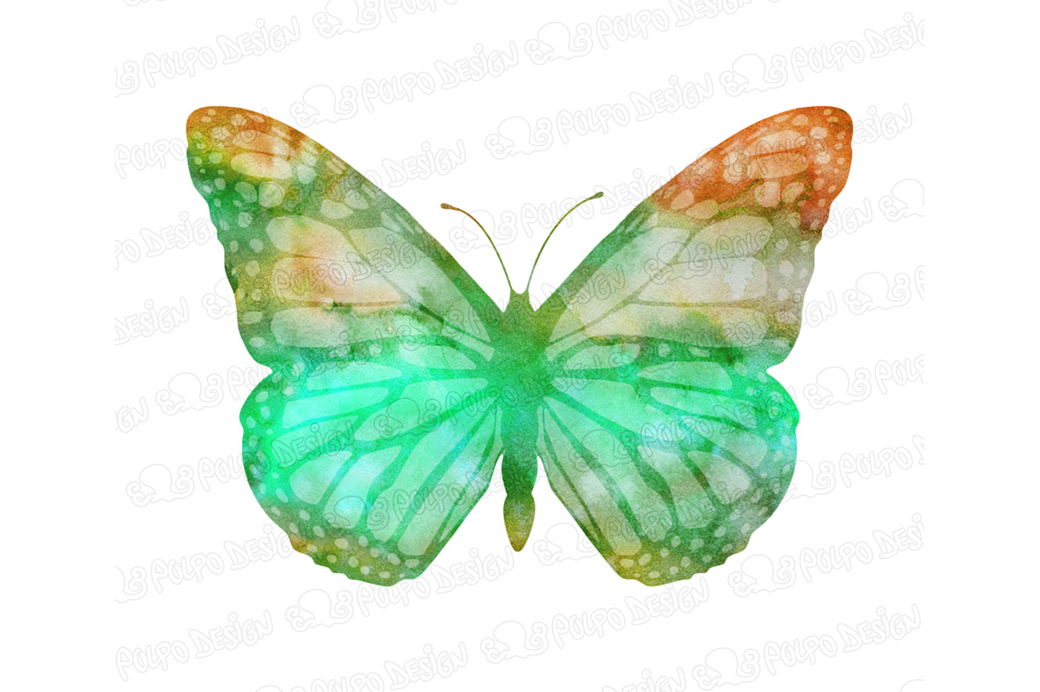 1160x772 Watercolor Butterflies Clip Art By Polpo Design - Watercolor Butterfly Art