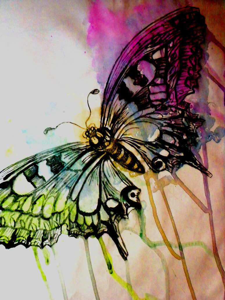 774x1032 Watercolor Butterfly Pictures, Photos, And Images For Facebook - Watercolor Butterfly Art