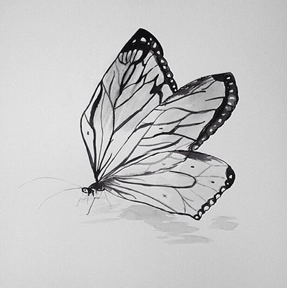 417x418 Watercolor Butterfly By Oceancrestart - Watercolor Butterfly Art