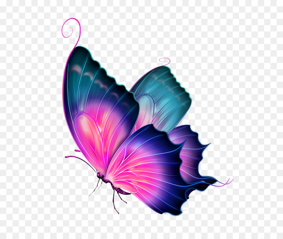 900x760 Butterfly Clip Art - Watercolor Butterfly Art