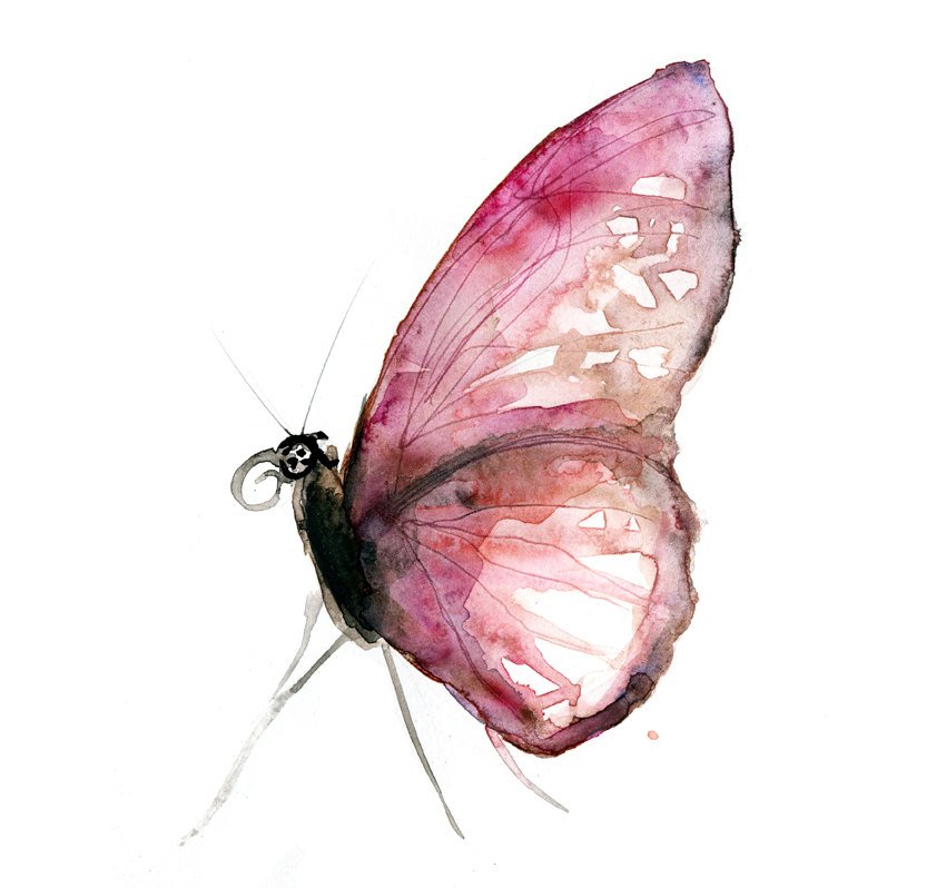 850x798 Original Watercolor Painting Of A Pink Butterfly. Zen Drawing And - Watercolor Butterfly Png