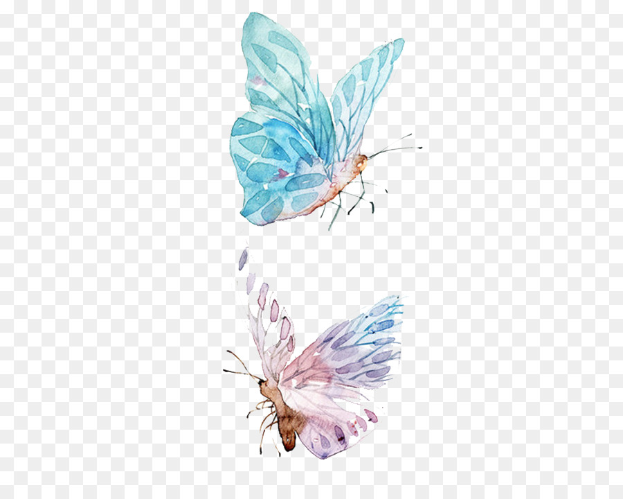 900x720 Paper Watercolor Painting Drawing - Watercolor Butterfly Png