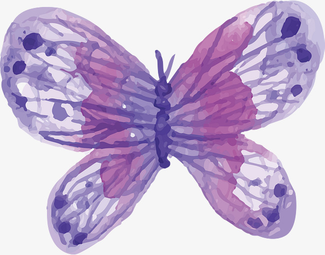 650x510 Watercolor Purple Butterfly, Watercolor Vector, Butterfly Vector - Watercolor Butterfly Png