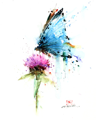 190x238 Green Butt Spey Fly - Watercolor Butterfly Prints