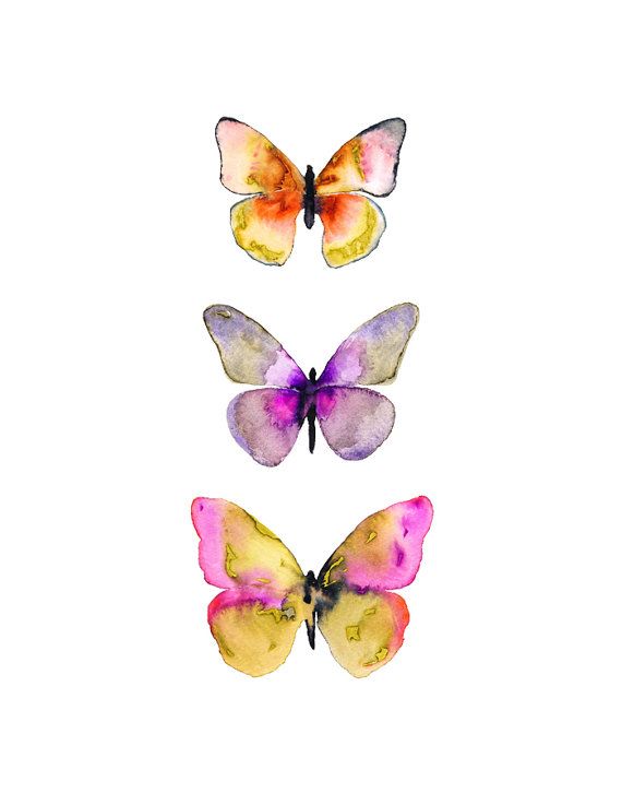 570x726 Title Watercolor Butterflies No. 5 Watercolor Butterfly Print - Watercolor Butterfly Prints