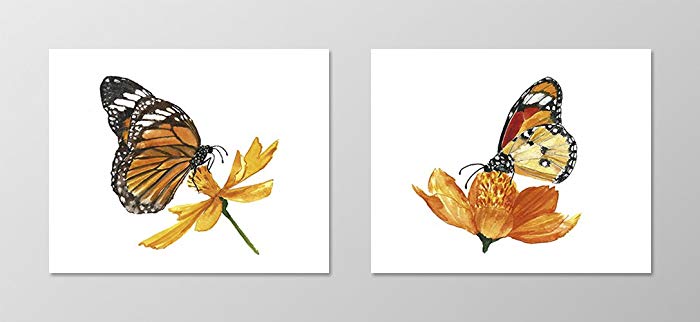700x322 Watercolor Butterfly - Watercolor Butterfly Prints