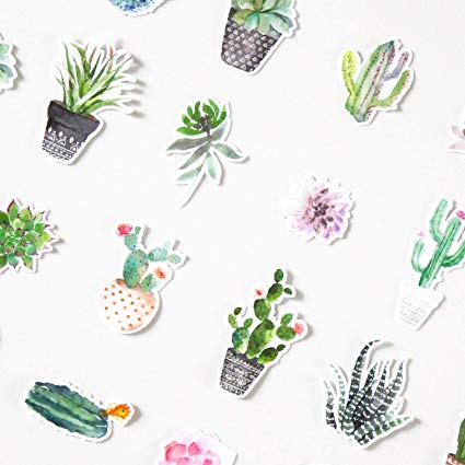 425x425 Super Cute Watercolor Cactus And Succulent Plants - Watercolor Cactus