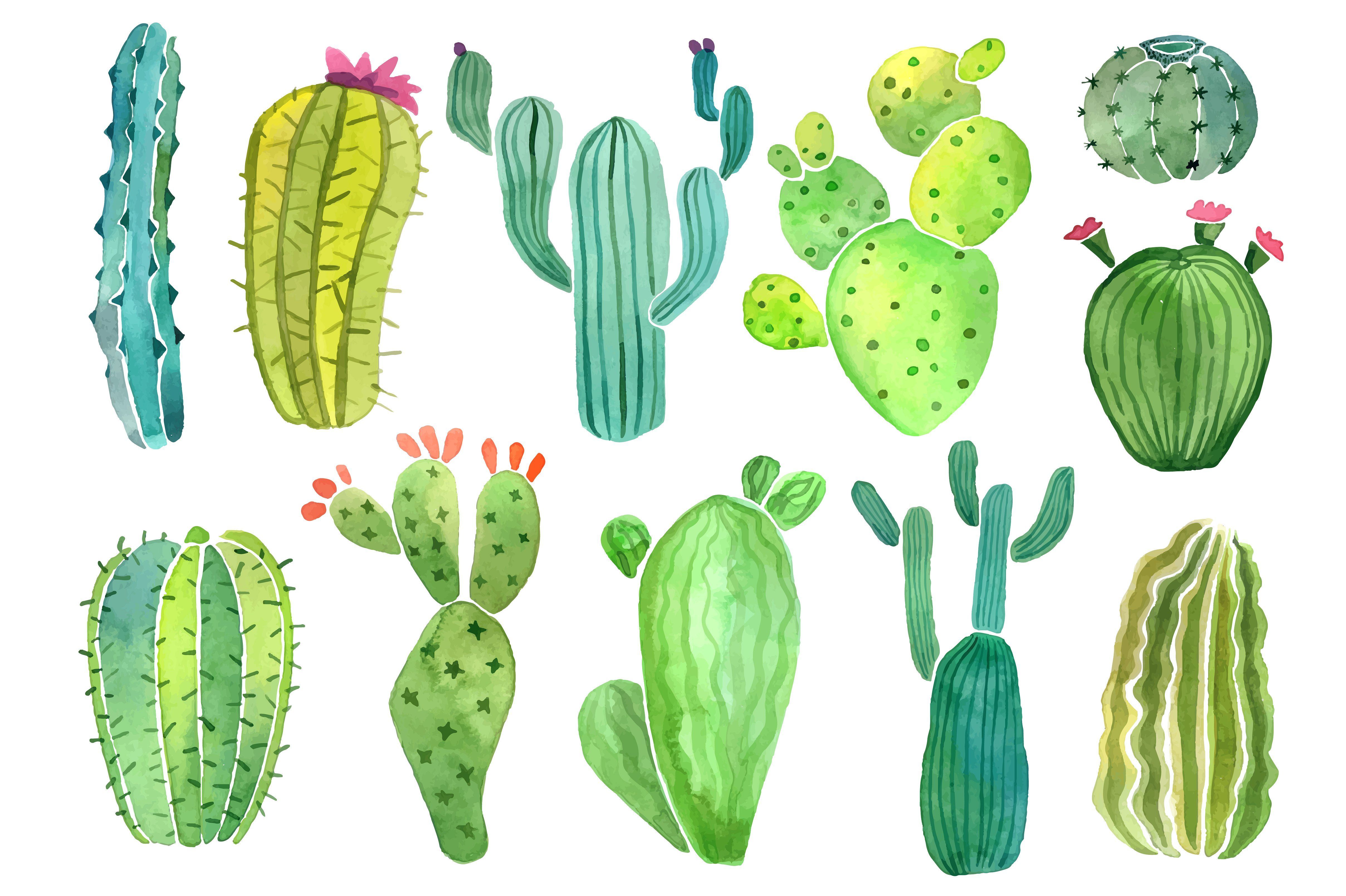 4833x3217 Pin By Rachel Pfoutz On Pregnant In 2018 Cacti - Watercolor Cactus