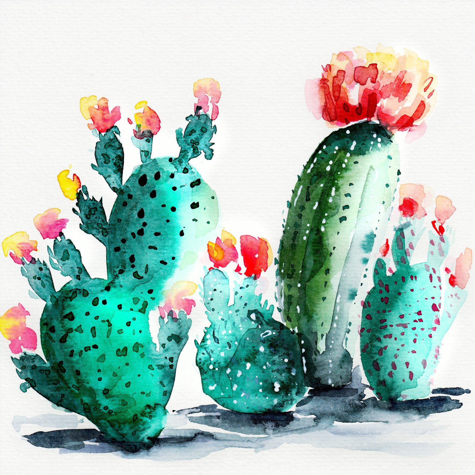 1589x1588 Watercolor Cacti 2 - Watercolor Cactus