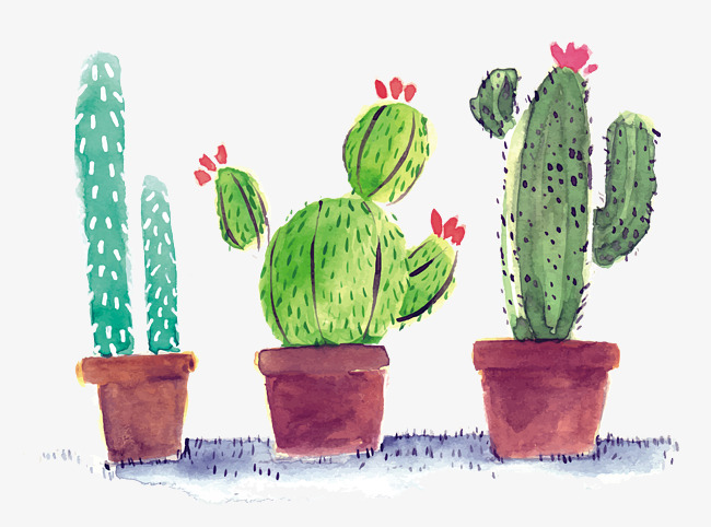 650x482 Watercolor Cactus, Watercolor Clipart, Hand Painted Cactus - Watercolor Cactus