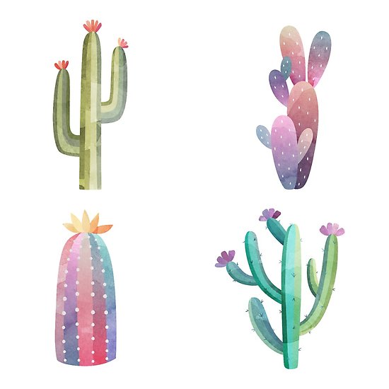 550x550 Watercolor Cactus Art, Cacti Succulent Pastel Art Posters By - Watercolor Cactus