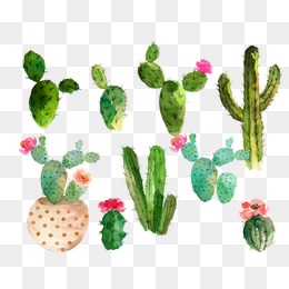 260x260 Watercolor Cactus Png Images Vectors And Psd Files Free - Watercolor Cactus