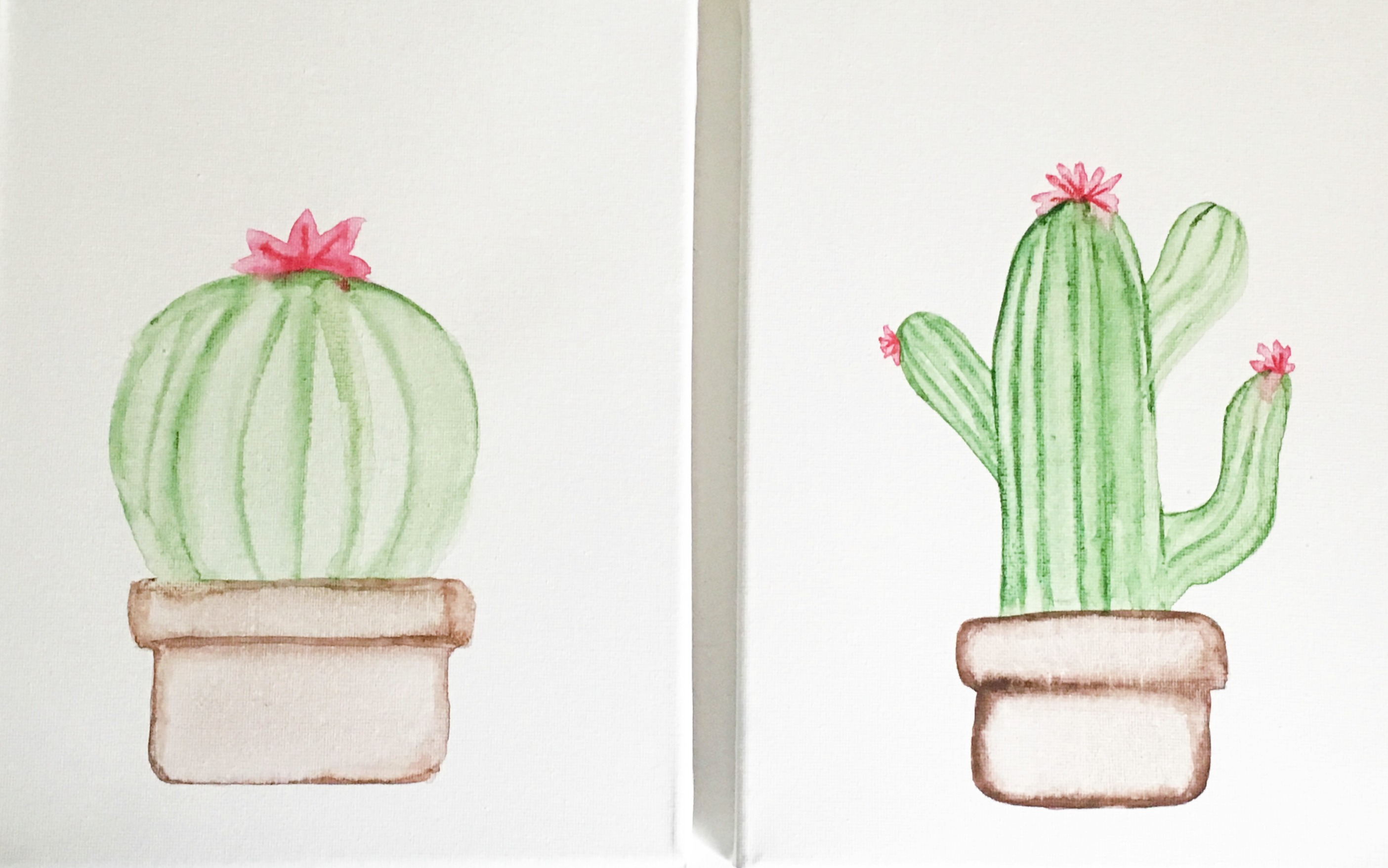 2809x1757 Watercolor Cactus Tutorial - Watercolor Cactus
