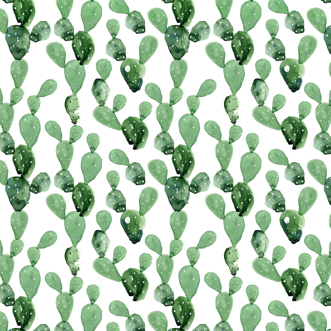 1080x1080 Watercolor Cactus Wallpaper Project Nursery - Watercolor Cactus