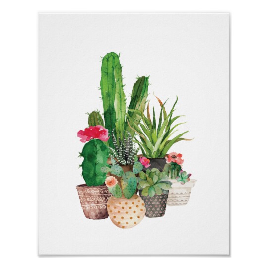 540x540 Watercolor Cactus And Succulents Poster - Watercolor Cactus