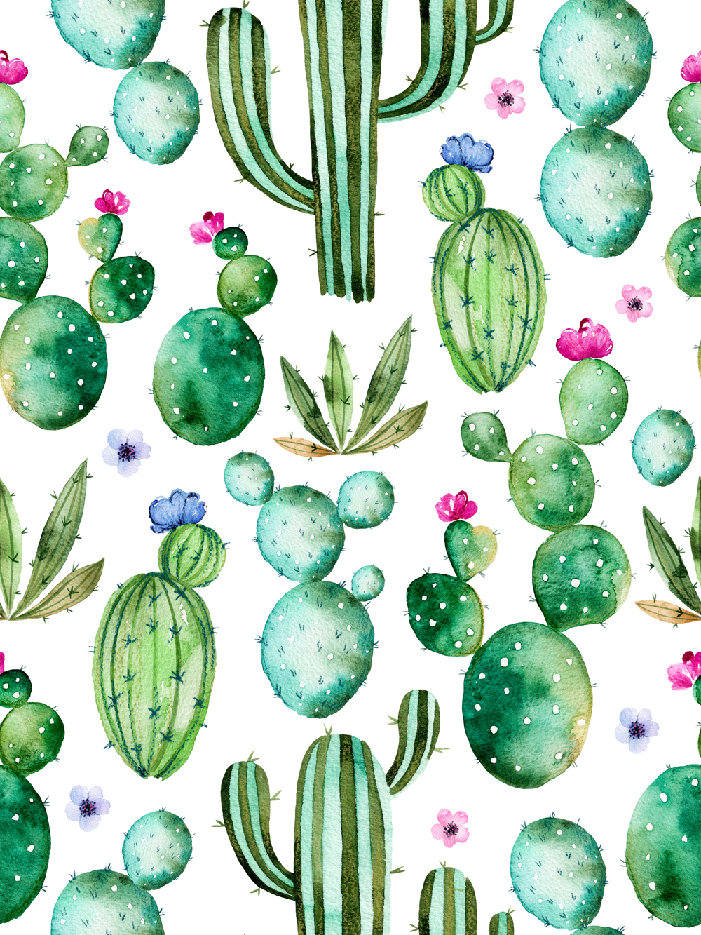 1000x1333 Watercolor Cactus Plants Purple Flowers Photography Backdrop Photo - Watercolor Cactus