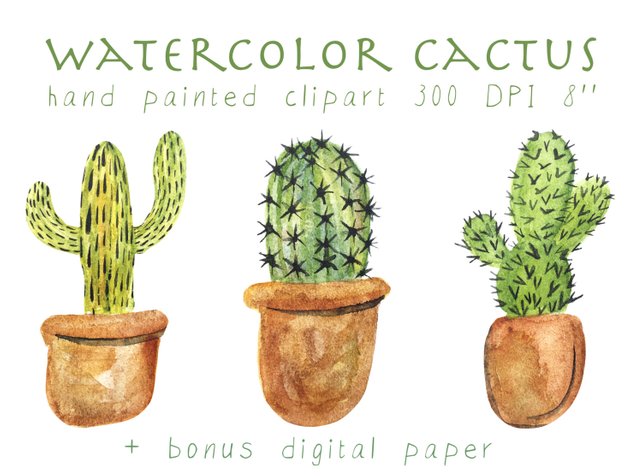 642x476 Cactus Clipart Watercolor Cactus Watercolor Cacti Clipart Etsy - Watercolor Cactus Clipart