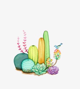 260x287 Download Watercolor Cactus Clipart Cactus Watercolor Painting - Watercolor Cactus Clipart