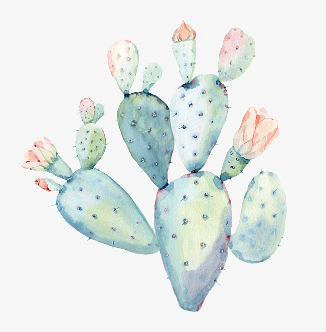650x663 Hand Painted Watercolor Cactus, Watercolor Clipart, Hand - Watercolor Cactus Clipart