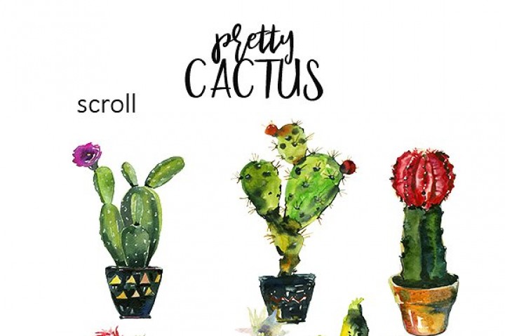 720x479 Pretty Cactus Watercolor Clipart Set By Whiteheartdesign - Watercolor Cactus Clipart