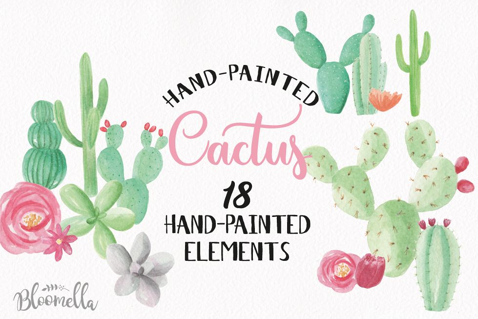 979x653 Watercolor Cactus Clipart Elements Flowers Floral - Watercolor Cactus Clipart
