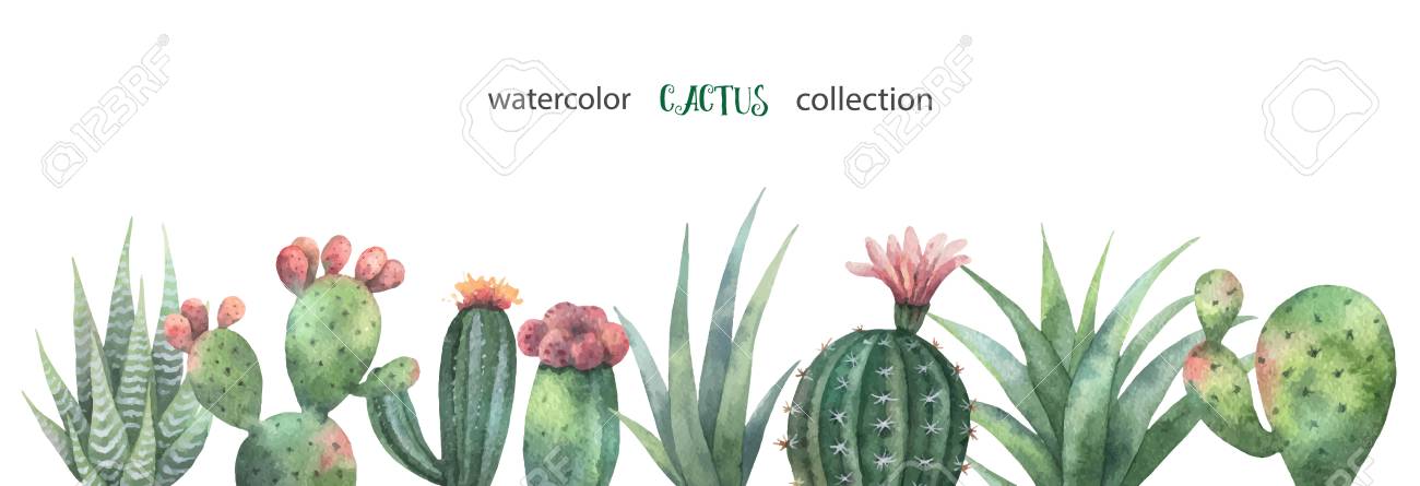 1300x445 Banner Clipart Cactus ~ Frames ~ Illustrations ~ Hd Images ~ Photo - Watercolor Cactus Clipart