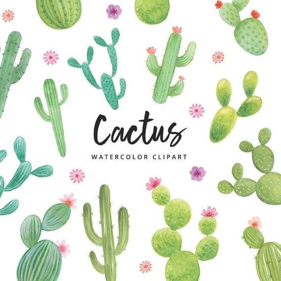 570x570 Watercolor Cactus Clipart Succulents Downloadable Digital Etsy - Watercolor Cactus Clipart