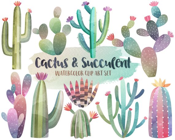 570x456 Watercolor Cactus Clipart Watercolor Clipart Cactus Etsy - Watercolor Cactus Clipart