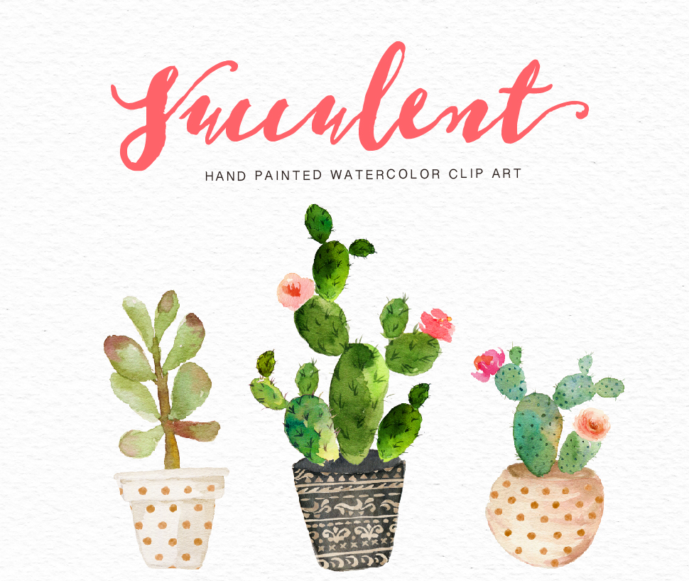 970x817 Watercolor Succulent Clip Art Collection On Behance - Watercolor Cactus Clipart