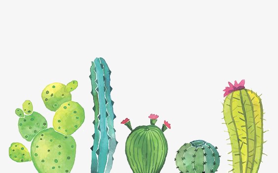 564x352 Cactus, Watercolor, Illustration Png Image And Clipart For Free - Watercolor Cactus Clipart