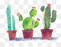 260x200 Cactus Png Amp Cactus Transparent Clipart Free Download - Watercolor Cactus Clipart
