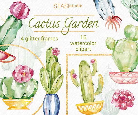 570x475 Watercolor Cactus Clipart Green Pink Cactus Flowers Clip Art Etsy - Watercolor Cactus Flower