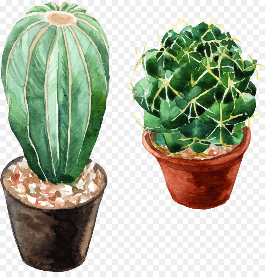 900x940 Watercolor Flowers Cactaceae Watercolor Painting - Watercolor Cactus Flower