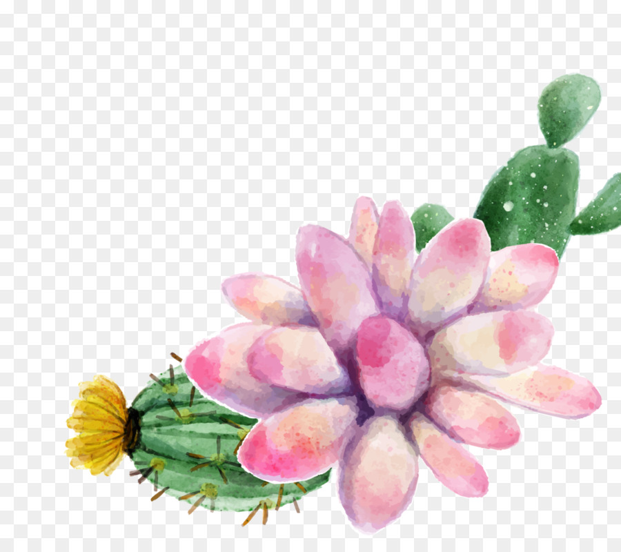 900x800 Watercolor Painting Succulent Plant - Watercolor Cactus Flower