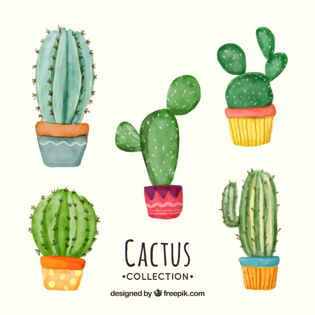 626x626 Fun Set Of Watercolor Cactus Vector Free Download - Watercolor Cactus Vector