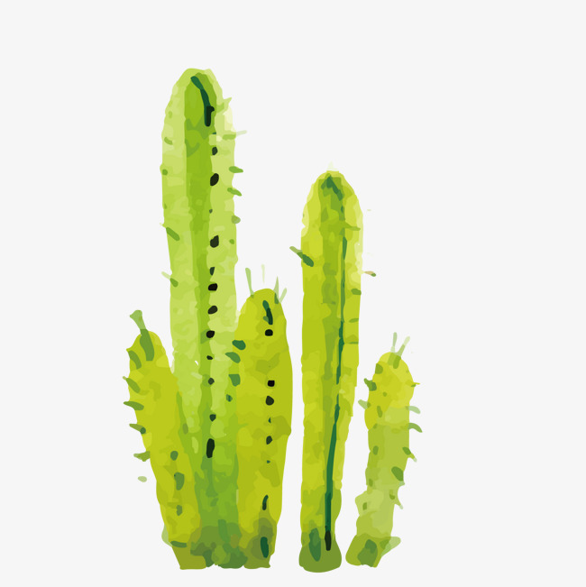 650x651 Green Watercolor Vector Cactus Hand Painted, Green Vector - Watercolor Cactus Vector