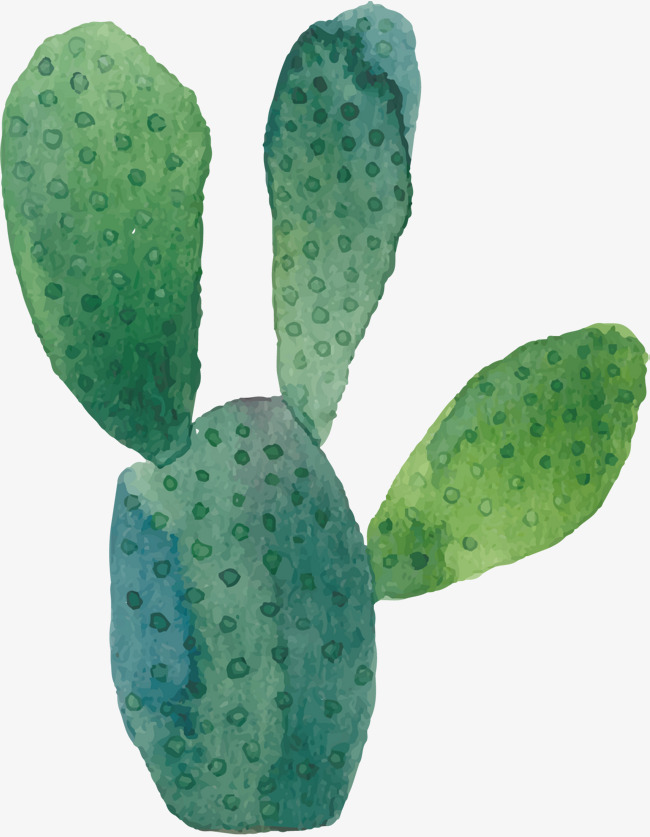 650x837 Vector Watercolor Cactus, Cactus, Watercolor, Vector Png And - Watercolor Cactus Vector